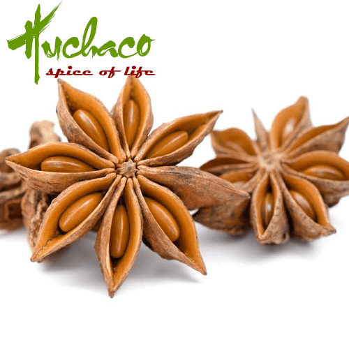 hoa hồi, đại hồi, tai vị